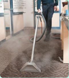 Carpet Steam Cleaners